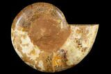 Crystal Filled, Cut & Polished Ammonite (Half) - Madagascar #182919-1